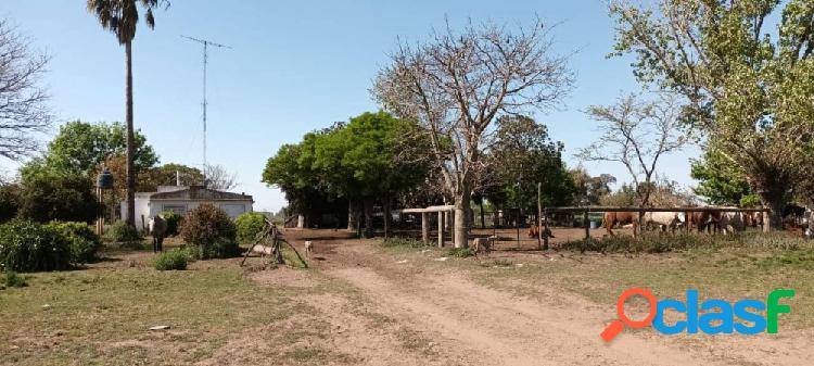 CHACRA 2,5Ha. EN VENTA