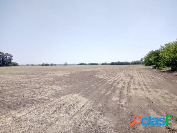 Campo 30 hectáreas agrícolas