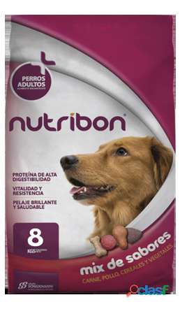 nutribon mascotas comida para mascotas