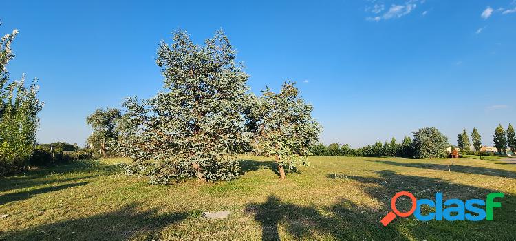 Lote terreno comarcas de lujan san roque