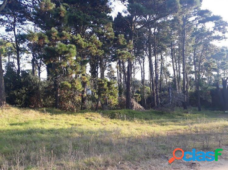 PINAMAR NORTE - EXCLUSIVO LOTE ARBOLADO L7 Mz 193 -