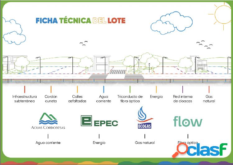 LOTE EN DOCTA