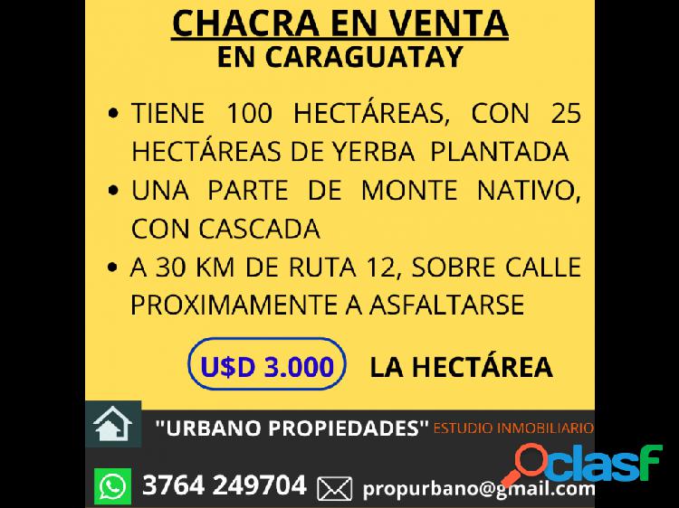 CHACRA EN VENTA EN LA LOCALIDAD DE CARAGUATAY!!