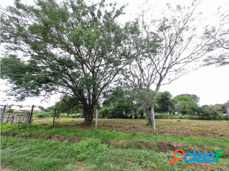 Terreno con gran frente, céntrico, Colonia Benitez