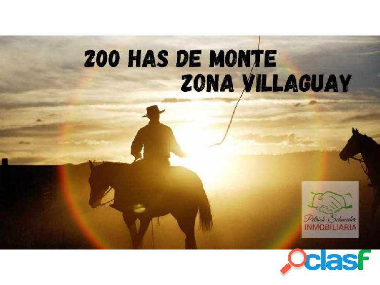 200 hectáreas de monte