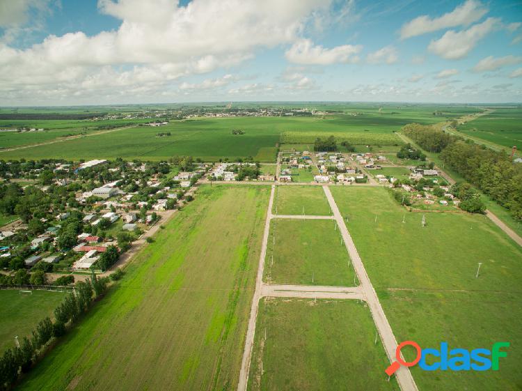 Terrenos en Monte Catini Alto, Piñero 300m2