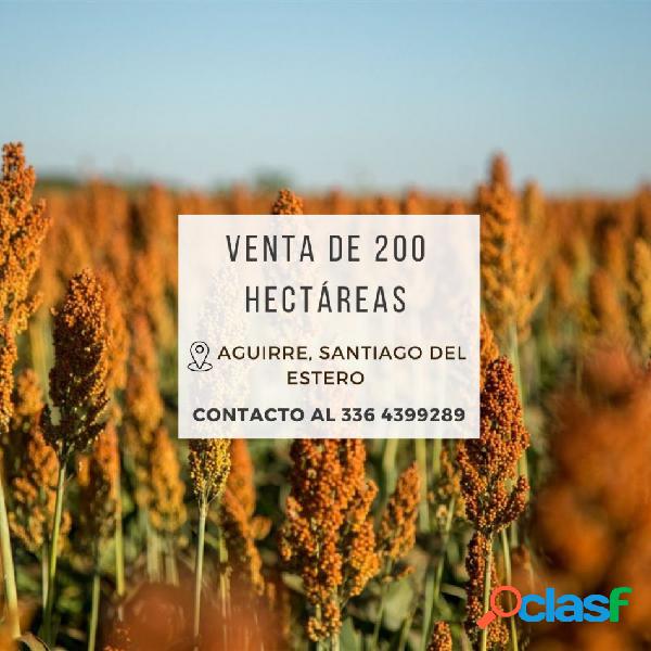 Campo de 200 Has en Aguirre (Santiago del Estero)