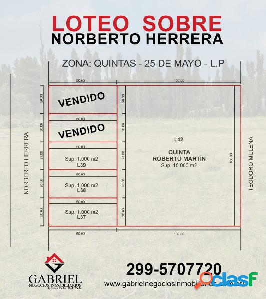 Terreno en Norberto Herrera