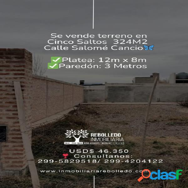 Se vende Hermoso Terreno en Cinco Saltos, cerrado con