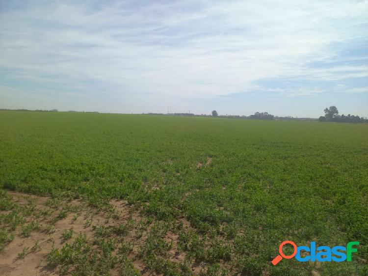 Campo de 6.6has en venta en Alvarez