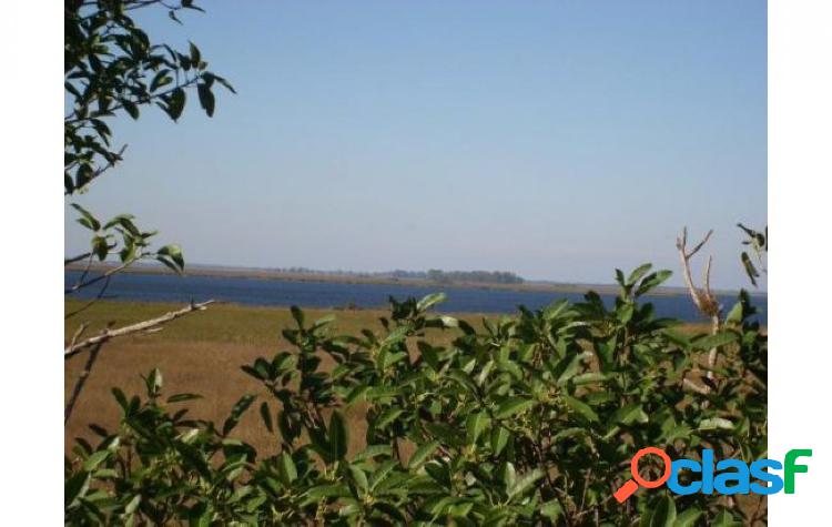 Campo en venta