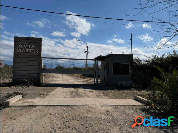 Calle Buenos Vecinos - Lote parquizado en venta - Guaymallen