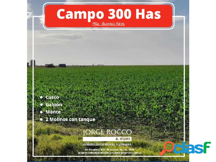 Campo en venta en Pila. 300 has. mixto