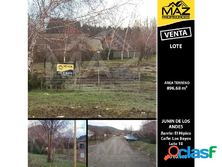 LOTE | EL HÍPICO - Los Bayos - Lote 10