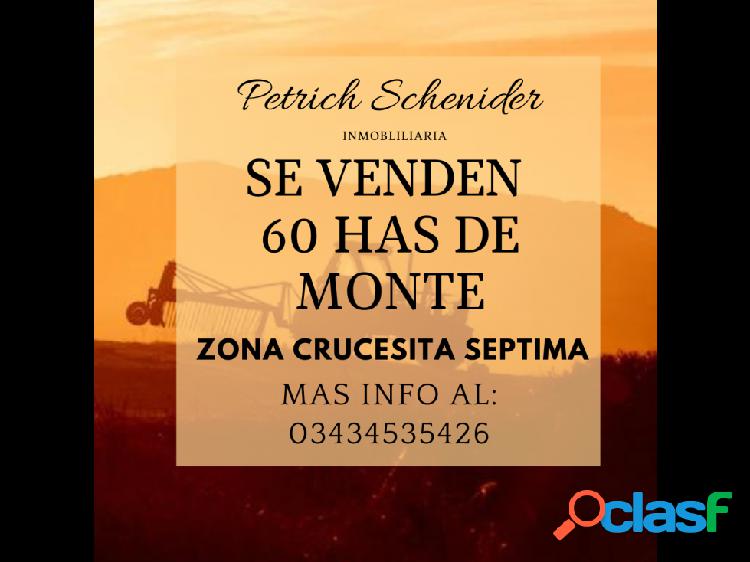 Se vende 60 has de Monte zona Crucecita Septima