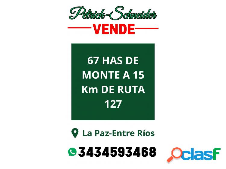 Se vende campo en departamento La Paz, Entre Ríos