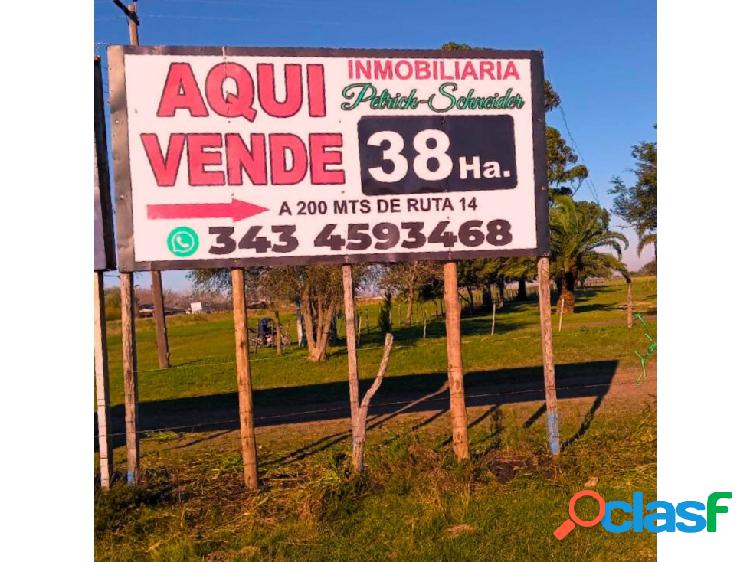 Se venden 38 Ha. de campo a 200 metros de Ruta Nacional N°