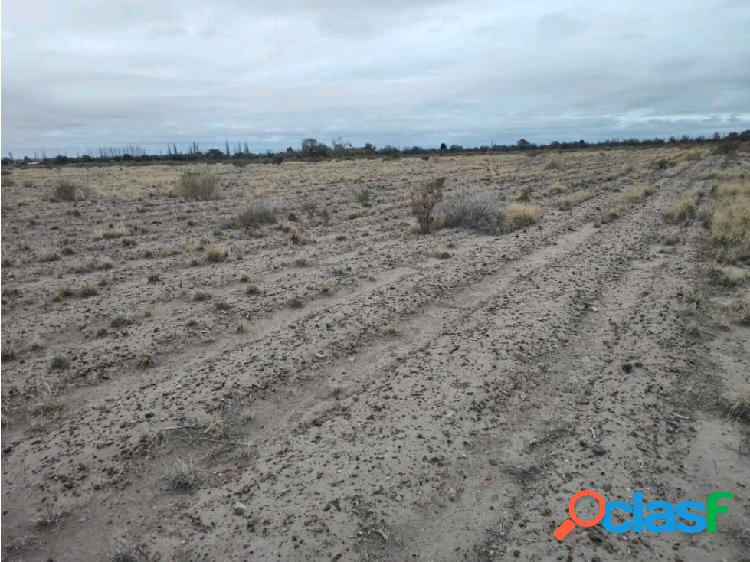 VENTA DE FINCA 21 HAS EN ALTO VERDE- JUNIN, MZA.