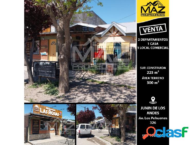 2 DEPARTAMENTOS, 1 CASA y 1 LOCAL COMERCIAL | Av. Los