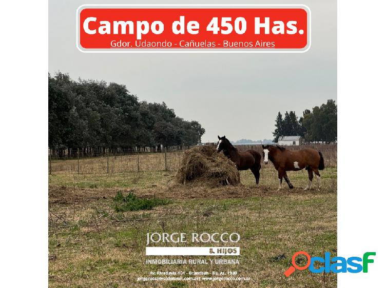 Campo en venta. 450 Has. en Gdor. Udaondo, Pdo. de Cañuelas