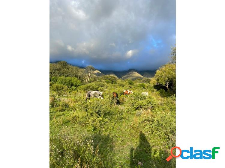 VENTA CAMPO 90 HECTAREAS SAN JAVIER LA PAZ APTO TURISMO/