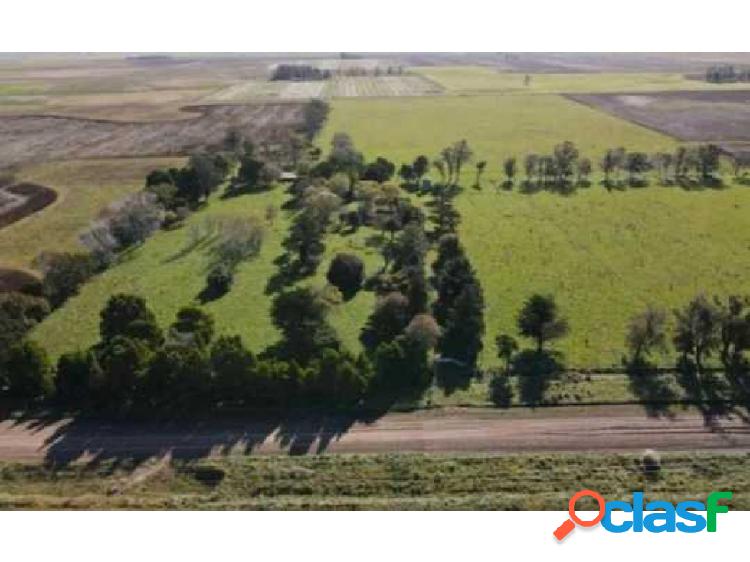 CAMPO EN BALCARCE, PARTIDO DE LA COSTA, BUENOS AIRES