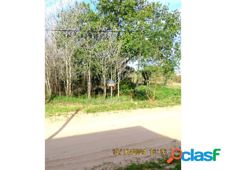 LOTE AMPLIO TALA SUR SUPERFICIE 768 M2