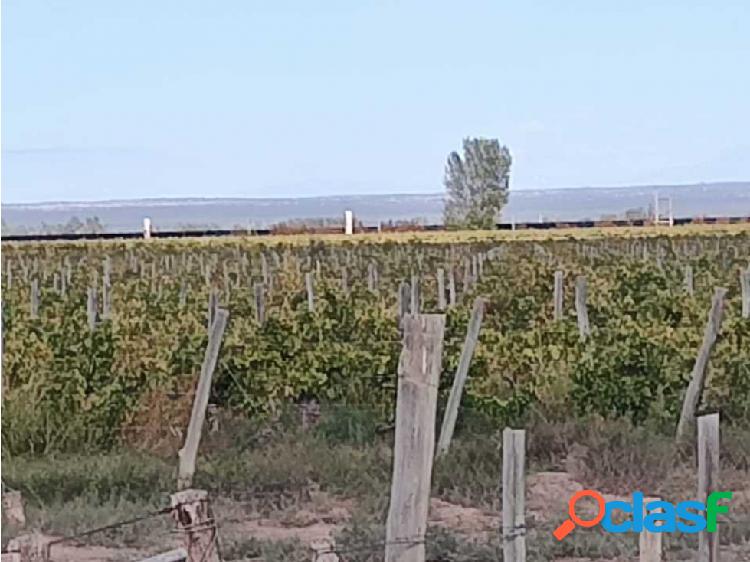 VENTA DE FINCA 169,5 HAS CON GRAN POTENCIAL EN SANTA ROSA-